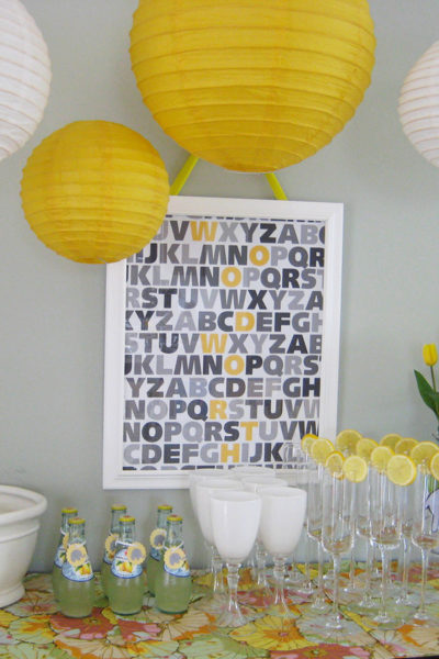 Real Party: Alphabets & Elephants Shower