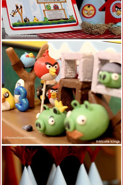 Real Party: Angry Birds Birthday