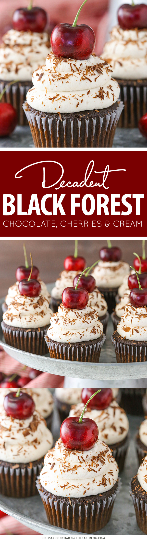 Black Forest Cupcakes - moist chocolate cupcake, homemade cherry filling and fresh vanilla whipped cream on top | by Lindsay Conchar for TheCakeBlog.com