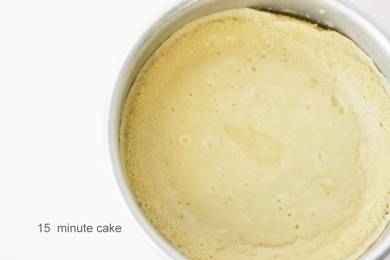 Baked to Perfection - how baking time affects cake moisture and structure | by Summer Stone for TheCakeBlog.com