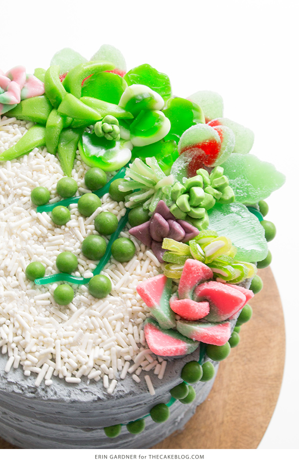 Candy Succulent Cake - how to make a succulent cake with edible candy succulents | by Erin Gardner for TheCakeBlog.com