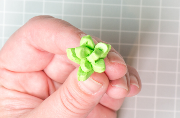 Candy Succulent Cake - how to make a succulent cake with edible candy succulents | by Erin Gardner for TheCakeBlog.com