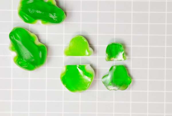 Candy Succulent Cake - how to make a succulent cake with edible candy succulents | by Erin Gardner for TheCakeBlog.com