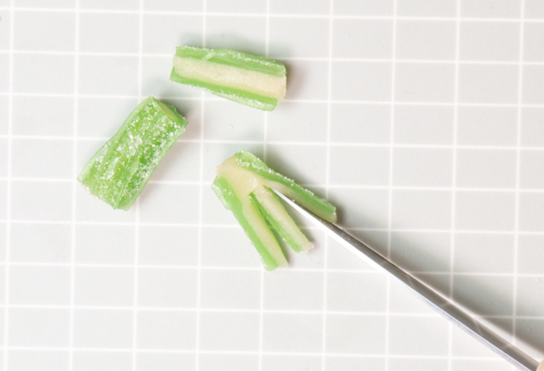 Candy Succulent Cake - how to make a succulent cake with edible candy succulents | by Erin Gardner for TheCakeBlog.com