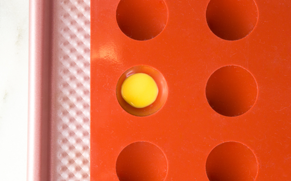 Chocolate Eyeball Flower - how to make a creepy black chocolate flower with an edible eyeball center | by Erin Gardner for TheCakeBlog.com