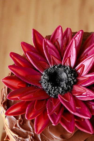 Chocolate Sunflower Cake