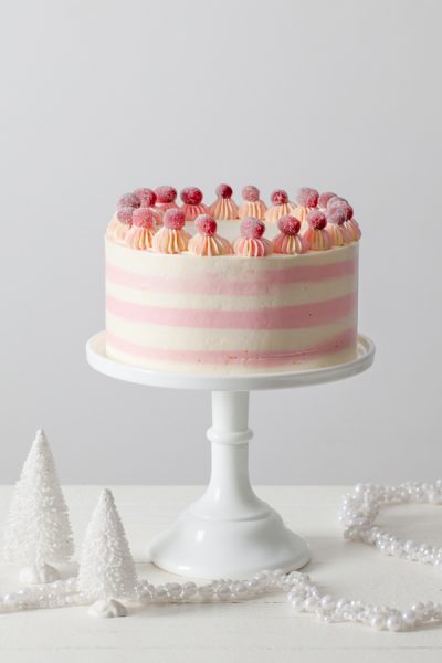 Cranberry Orange Spice Cake