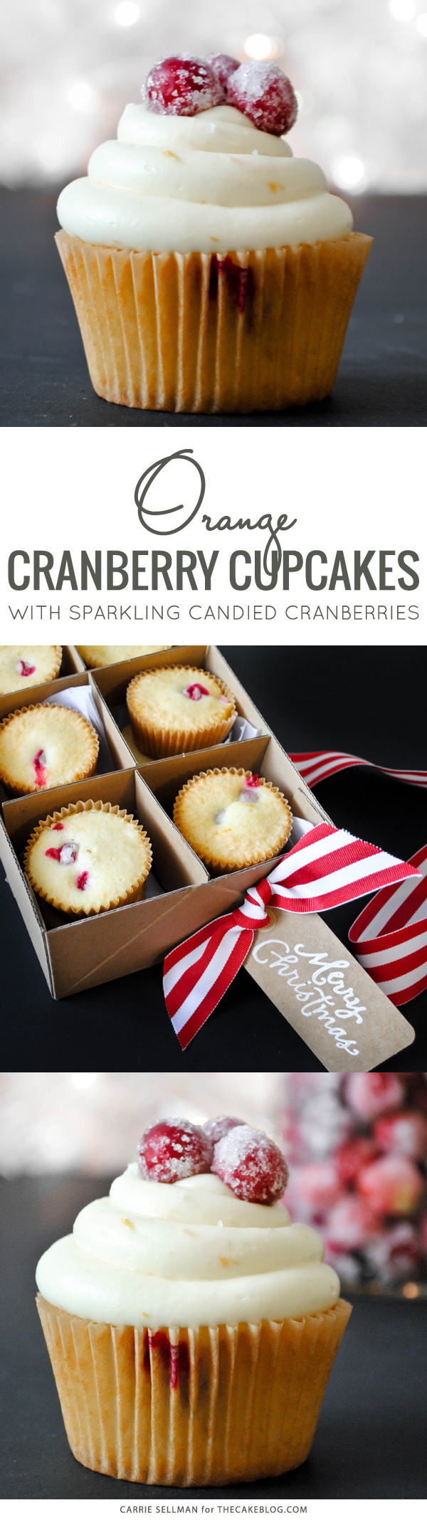 Cranberry Orange Cupcakes with sugared cranberries. Perfect for the holidays and Christmas dessert | Carrie Sellman for TheCakeBlog.com