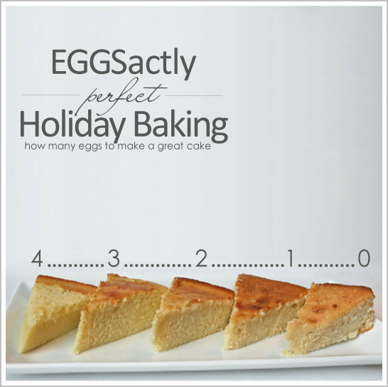 Eggs-actly Perfect Holiday Baking
