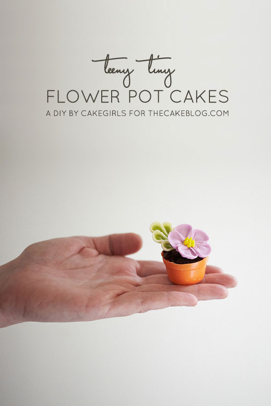 Teeny Tiny Flower Pot Cakes | Cake Tutorial by Cakegirls for TheCakeBlog.com