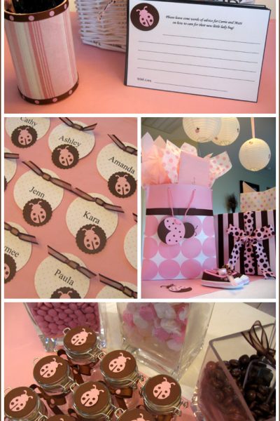 Real Party: Ladybug Baby Shower