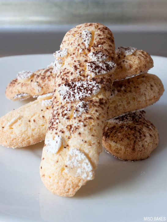 Ladyfinger Recipe by Miso Bakes | TheCakeBlog.com