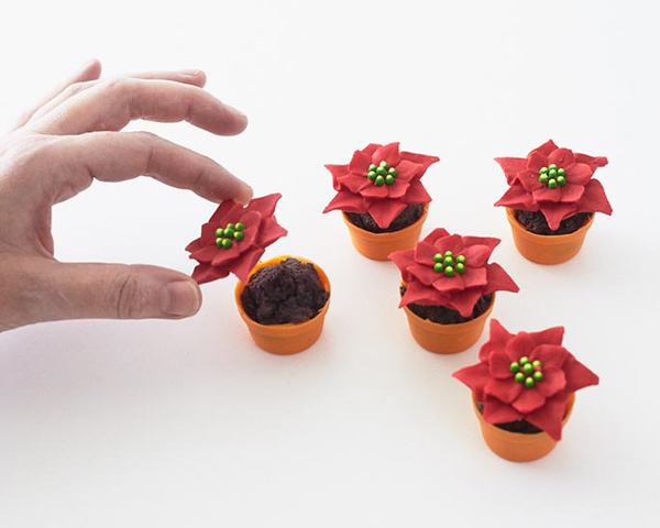 Mini Poinsettia Cakes - festive holiday desserts you can make for Christmas | Cakegirls for TheCakeBlog.com