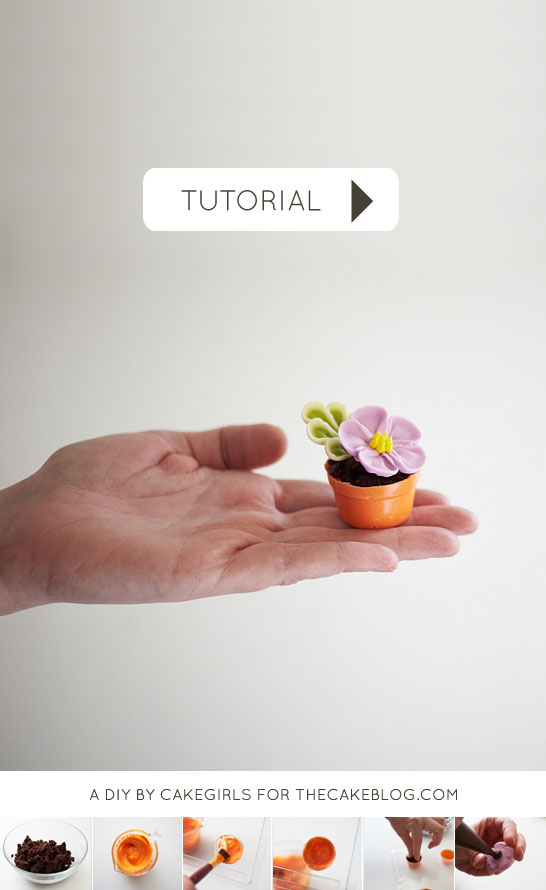 Teeny Tiny Flower Pot Cakes | Cake Tutorial by Cakegirls for TheCakeBlog.com