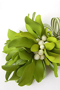 Learn how to make sugar mistletoe | Tutorial by Petalsweet for TheCakeBlog.com
