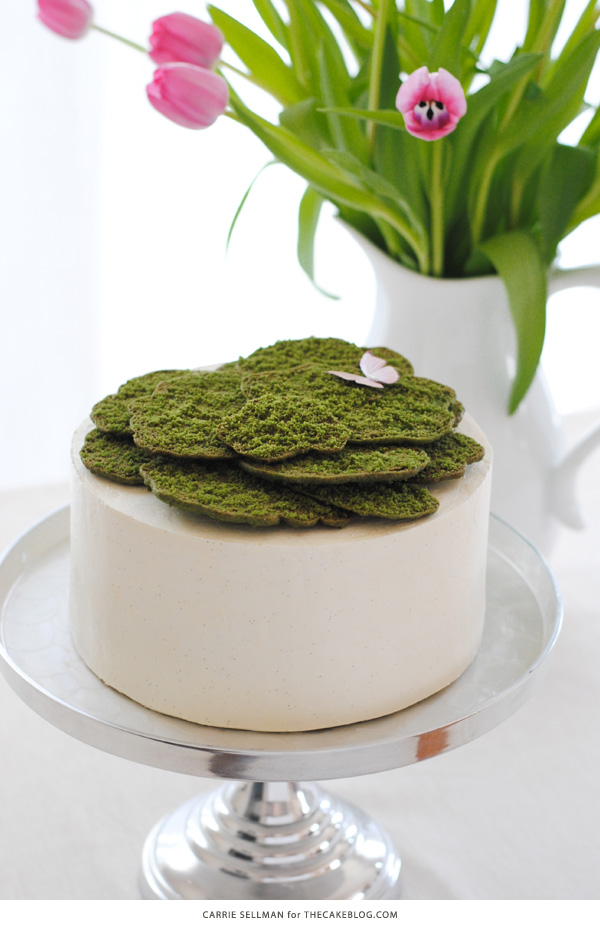 Cookie Moss Cake | how to make edible moss from sugar cookie dough | by Carrie Sellman for TheCakeBlog.com