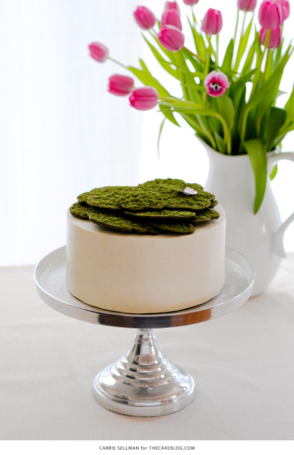 Cookie Moss Cake | how to make edible moss from sugar cookie dough | by Carrie Sellman for TheCakeBlog.com