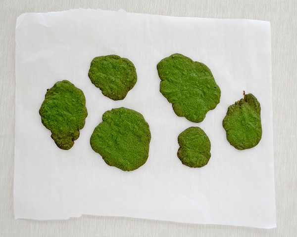 Cookie Moss Cake | how to make edible moss from sugar cookie dough | by Carrie Sellman for TheCakeBlog.com