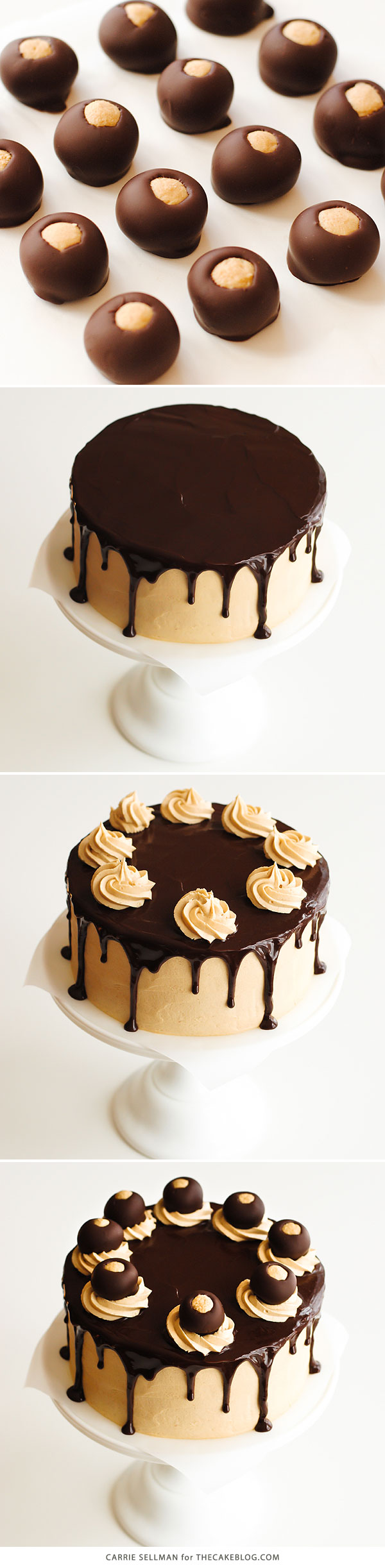 Chocolate Peanut Butter Cake - moist chocolate cake paired with peanut butter frosting and filling, topped with drippy chocolate ganache and homemade peanut butter balls, aka buckeyes | Carrie Sellman for TheCakeBlog.com