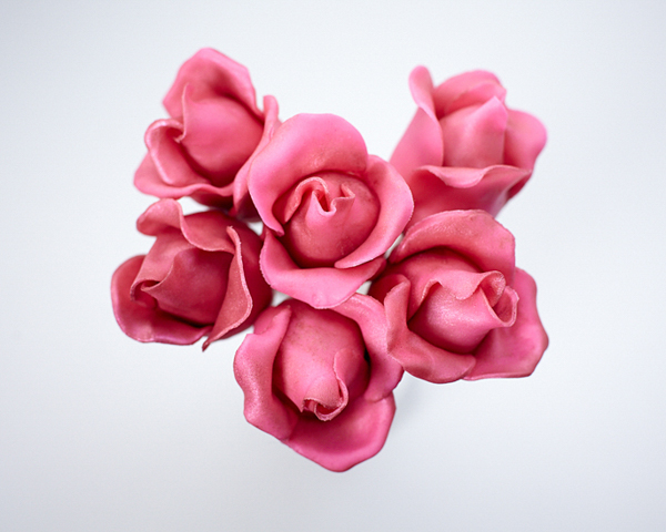 DIY Rose Cake Pops, an adorable dessert for Valentine's Day, Mother's Day and bridal showers | by Cakegirls for TheCakeBlog.com