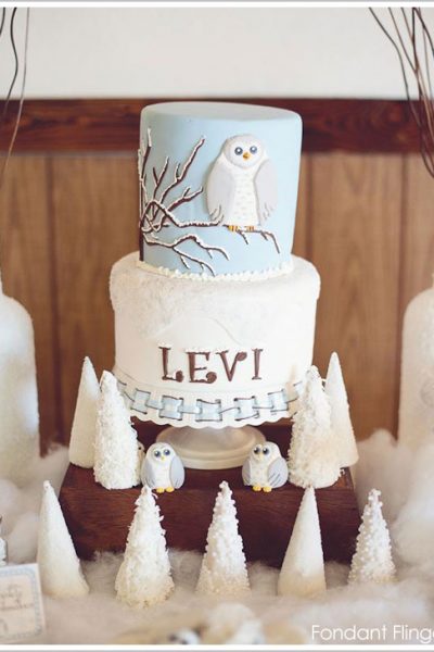 Snow Owl 1st Birthday