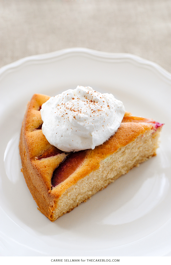 Spiced Plum Cake with Whipped Yogurt - an elegant yet easy cake recipe for holiday entertaining. | Carrie Sellman for TheCakeBlog.com