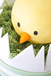 Spring Chick Cake | by Miso Bakes for TheCakeBlog.com