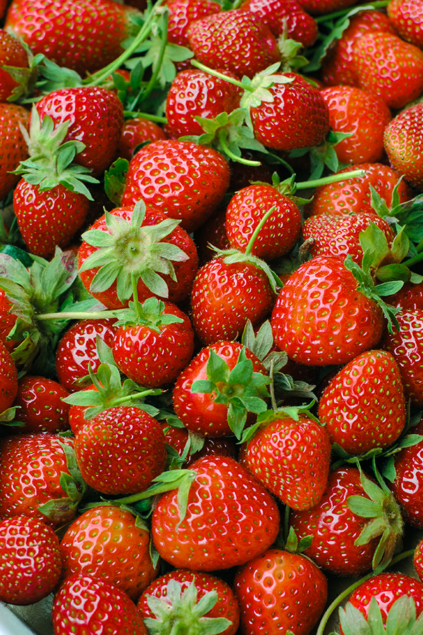 Strawberry Picking | on TheCakeBlog.com