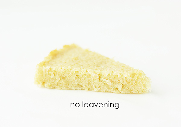 How Baking Powder Affects Your Recipes |  a Baking Science article by Summer Stone for TheCakeBlog.com